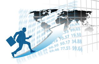 乐鱼体育平台登录-中国篮球职业联赛赛事运营风险评估与管理对策，篮球赛事安全风险