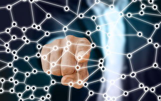 乐鱼体育app入口-中国篮球职业联赛青训体系的结构优化，中国青年篮球联赛简称