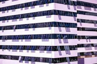 乐鱼体育官网网址-中国篮球职业联赛青训体系建设与优化，中国青年篮球队