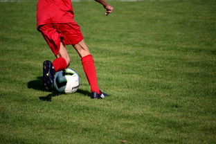 乐鱼体育在线入口-篮球运动员心理健康服务体系研究，篮球运动员心理健康服务体系研究论文